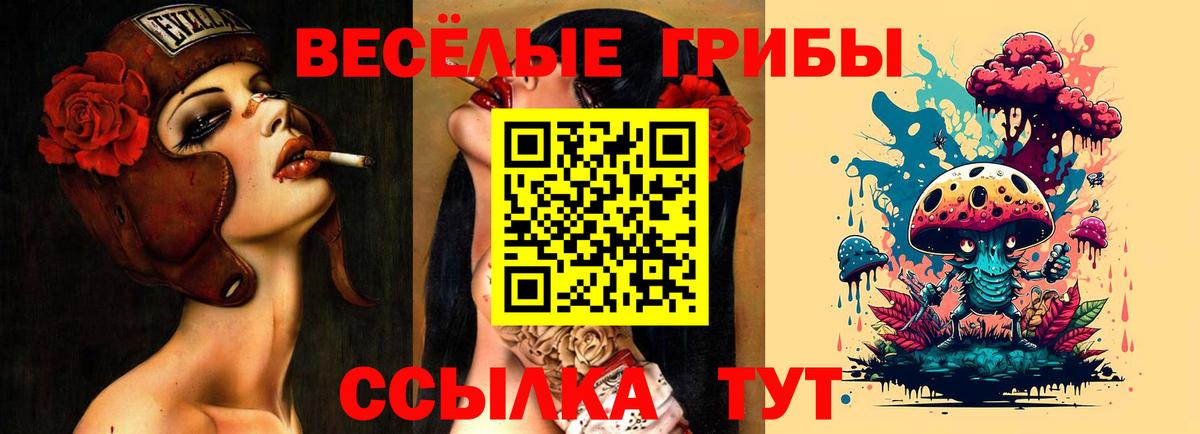 Галлюциногенные грибы прущие грибы Шатура