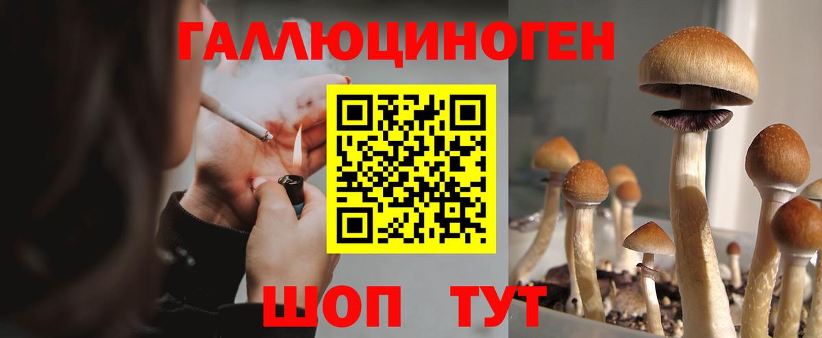 Шатура  Псилоцибиновые грибы мухоморы  Вход с VPN 